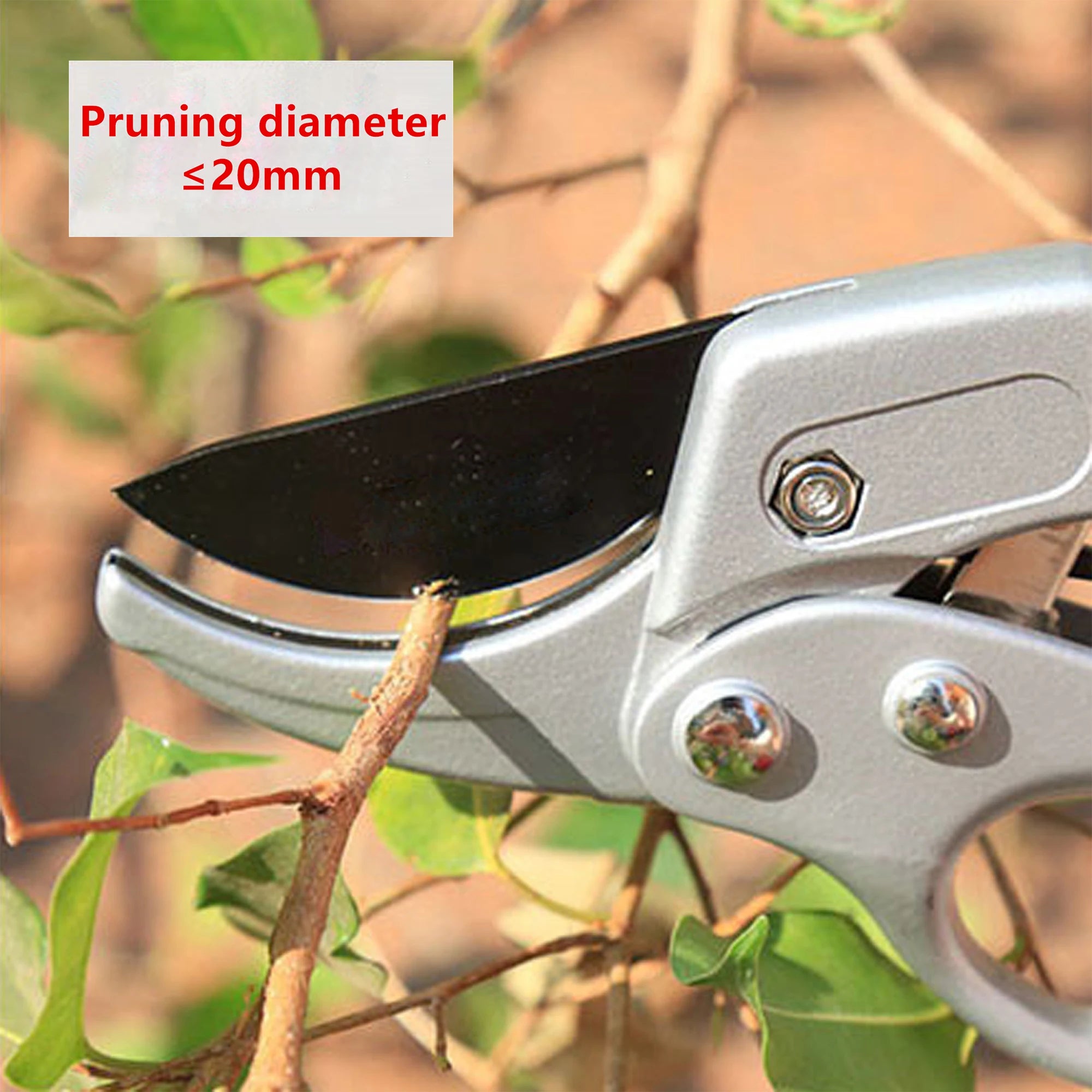 Garden Pruning Shears — Precision Hand Scissors for Plants, Herbs & Flowers